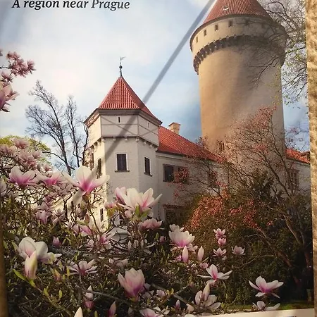 Prázdninový dům Dům Irena